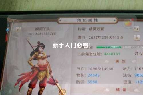 新手入門必看！