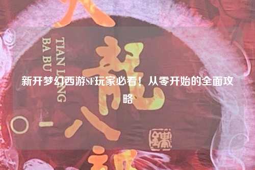 新開(kāi)夢(mèng)幻西游SF玩家必看！從零開(kāi)始的全面攻略