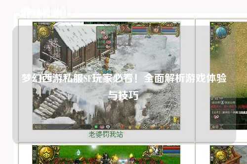 夢幻西游私服SF玩家必看！全面解析游戲體驗(yàn)與技巧