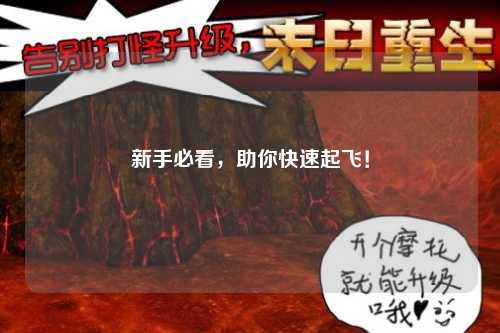 新手必看，助你快速起飛！