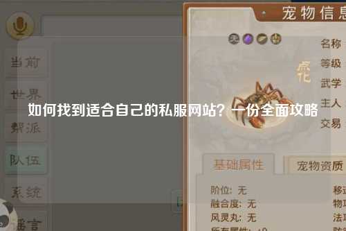 如何找到適合自己的私服網(wǎng)站？一份全面攻略