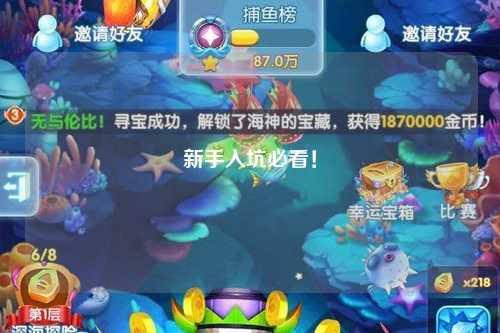 新手入坑必看！
