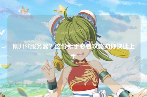 剛開SF服務(wù)器？這份新手必看攻略助你快速上手