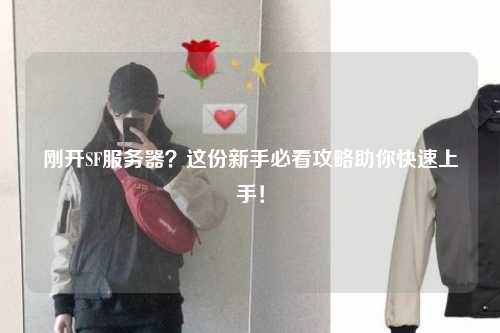 剛開SF服務(wù)器？這份新手必看攻略助你快速上手！