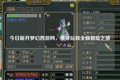今日新開夢幻西游網，帶你玩轉全新冒險之旅