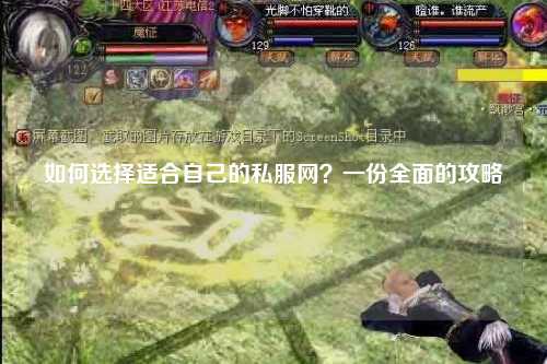如何選擇適合自己的私服網(wǎng)？一份全面的攻略